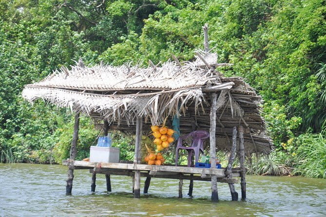 Southern Coast Highlights and River Safari from Bentota - Who This Tour Is Best For