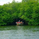 Southern Coast Highlights and River Safari from Beruwala - What We Loved and What to Consider