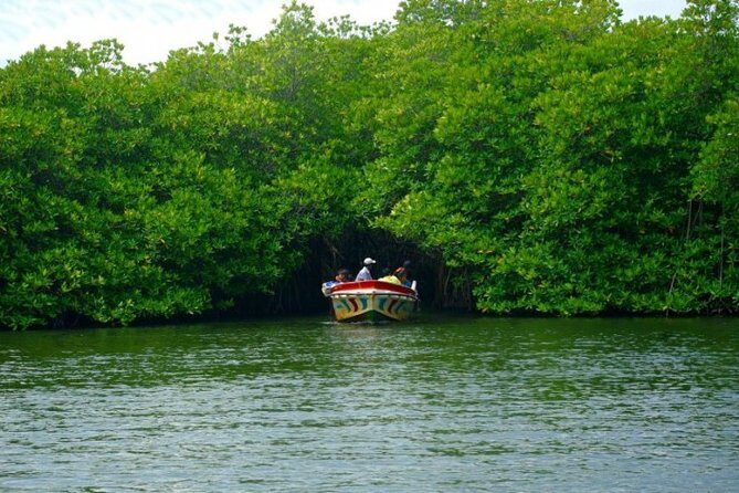 Southern Coast Highlights and River Safari from Beruwala - What We Loved and What to Consider