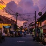 Southern Coast Highlights from Negombo - Why This Tour Offers Great Value