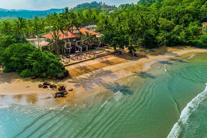 Southern Coast Highlights from Unawatuna - Sea Turtle Farm in Galle Mahamodara