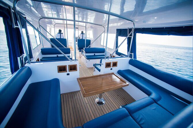 Speedboat Transfer between Maafushi and Guraidhoo - Practical Details You Need to Know