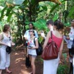 Spice Tour And Home-Cooked Goan Lunch At An Organic Plantation - Final Thoughts