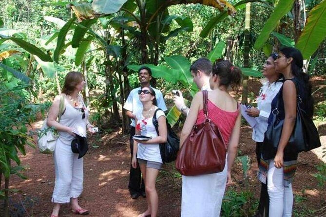 Spice Tour And Home-Cooked Goan Lunch At An Organic Plantation - Final Thoughts