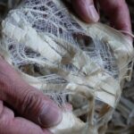 Spirit of Craftsmanship in Japanese Papermaking in Echizen - Practical Details and Value