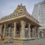 Spiritual Sojourn: Chennai to Tiruvannamalai Temple & Ashram Tour - Who Would Love This Experience