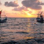 Sport Fishing from Negombo - Authentic Insights and Real-World Tips