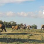 Sri Lanka Aborigine Tour (4 Days) - Authentic Insights & Real Feedback