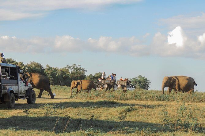 Sri Lanka Aborigine Tour (4 Days) - Authentic Insights & Real Feedback