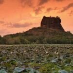 Sri Lanka Adventure and Camping Tour - What’s Included and What to Expect