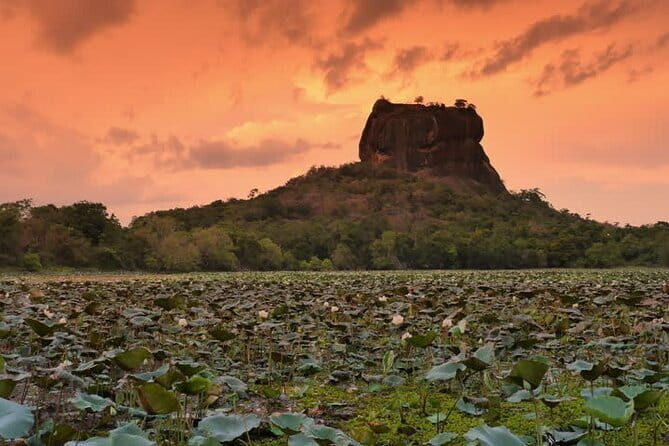 Sri Lanka Adventure and Camping Tour - What’s Included and What to Expect