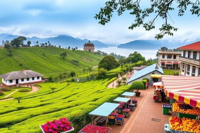 Sri Lanka Experience in 13 Days Private Tour - FAQ