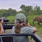 Sri Lanka Full Circle 4-Day Private Tour - What’s Included & What’s Not
