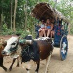 Sri Lankan Village Tour With Cooking Class - Detailed Breakdown of the Itinerary