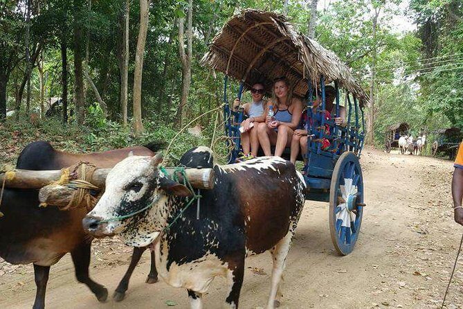 Sri Lankan Village Tour With Cooking Class - Detailed Breakdown of the Itinerary