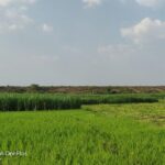 Srirangapatna & Hosaholalu - Of Forts, Temples And Farms - Who Would Love This Tour?