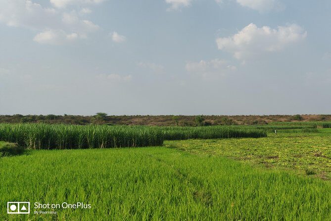 Srirangapatna & Hosaholalu - Of Forts, Temples And Farms - Who Would Love This Tour?