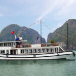 STANDARD CRUISE Halong Bay 1 Day Trip from Hanoi by Expressway - The Full Experience: What to Expect