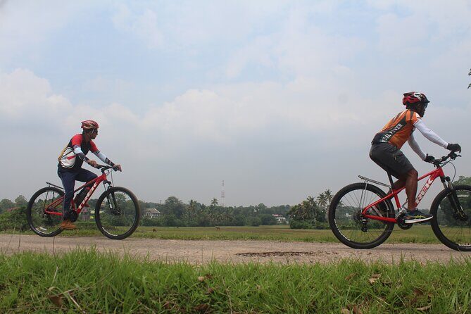 Suburbia cycling adventure surrounding wetlands and temples  Colombo Outskirts - What’s Included and What’s Not