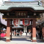 Sugamo Walking Tour and Takoyaki Making in a Japanese Home - Visiting Togenukijizo Kogan Temple: A Shrine of Healing