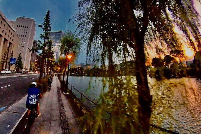 [Summer only] Twilight E-assist bike tour in tokyo - Pricing and Value