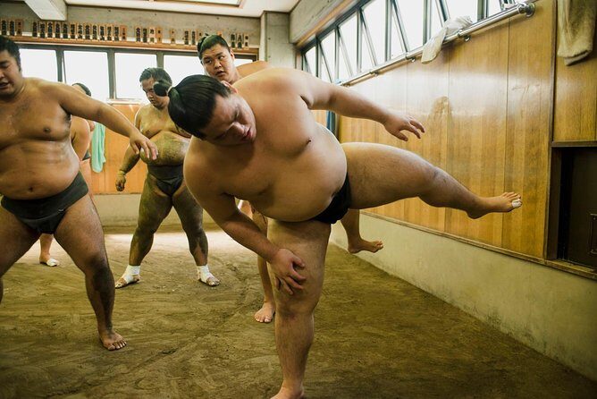 Sumo Training Session - Behind the Scenes and Learning Opportunities