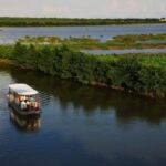 Sunflower Garden and Wild Bird Wetland Park Private Tour - Why This Tour Could Be Perfect for You