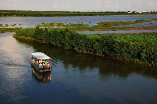 Sunflower Garden and Wild Bird Wetland Park Private Tour - Why This Tour Could Be Perfect for You