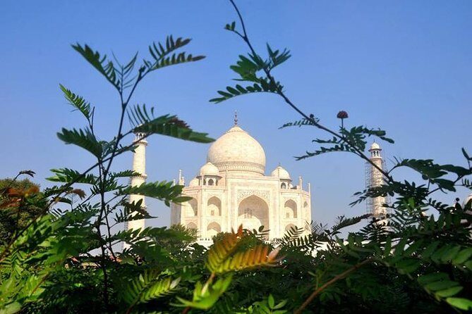 Sunrise Taj Mahal Tour by Car from Delhi - What’s Included and What’s Not
