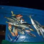 Sunset Cruise and Night Fishing in Huraa - Why This Tour Works