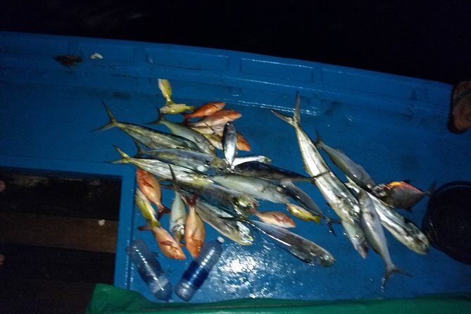 Sunset Cruise and Night Fishing in Huraa - Why This Tour Works