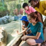 Sunway Lagoon Admission Ticket with Pickup from Hotel - A Deep Dive into What You Can Expect