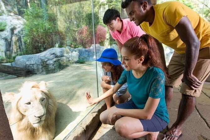 Sunway Lagoon Admission Ticket with Pickup from Hotel - A Deep Dive into What You Can Expect