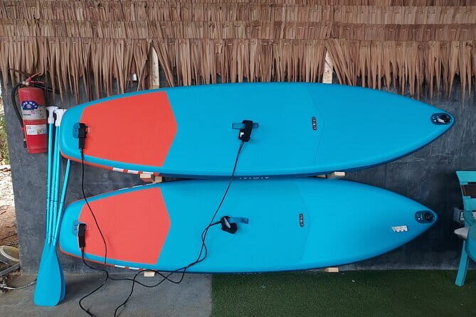 SUP Boarding in the Bay - The Itinerary: What to Expect During Your Paddle