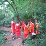 Suthep Temple and Monthathan Waterfall Adventure Trail From Chiang Mai - Analyzing the Value