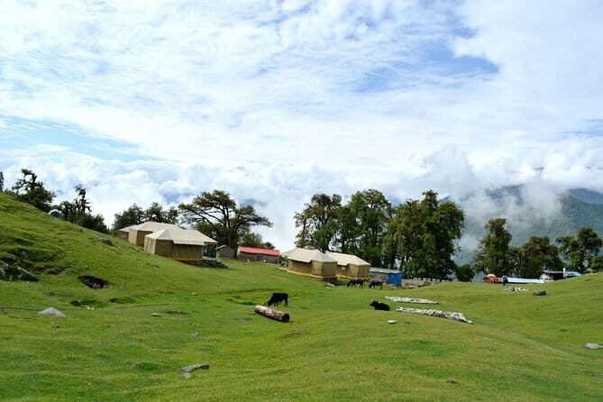 Swiss tent camping in Chopta (1n2d) - Who Is This Tour Best For?