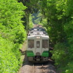 Tadami Line Tour and Private Boat Night Tour of Mugenkyo Ravine - Exploring Fukushima’s Hidden Gems: The Tadami Line & Mugenkyo Ravine Tour