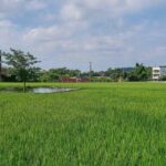 Taiwan Local Tofu DIY Experience in Daxi - The Sum Up