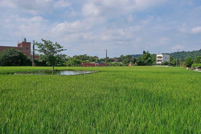 Taiwan Local Tofu DIY Experience in Daxi - The Sum Up