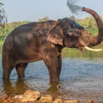 Taj Mahal and SOS park tour with Fatehpur Sikri visit - Why This Tour Offers Great Value
