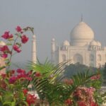 Taj Mahal tour with Elephant and Bear conservation center from Delhi - FAQ