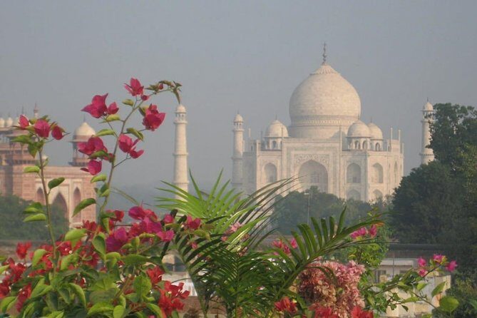 Taj Mahal tour with Elephant and Bear conservation center from Delhi - FAQ