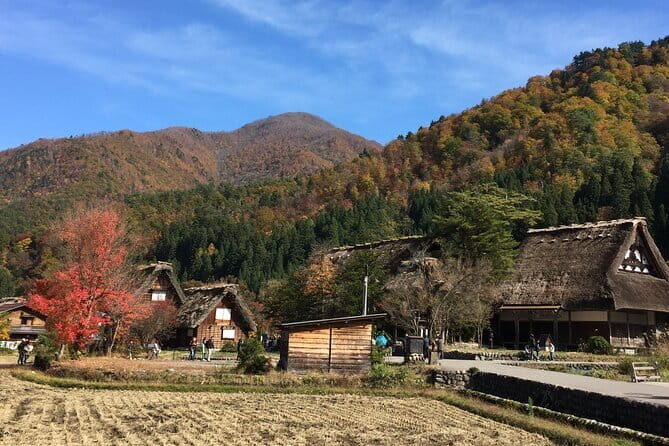 Takayama and Shirakawago Private Guided Tour Using Minivan - The Experience Provider and Its Approach