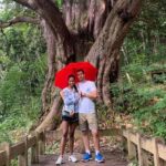 Takayama & Shirakawago 3 days tour - Practical Considerations