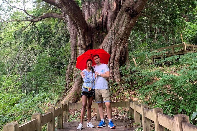 Takayama & Shirakawago 3 days tour - Practical Considerations