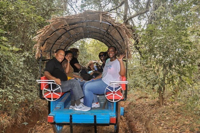 Tales of Ancient Ceylon from Colombo (3 Days) - Who Will Love This Tour?