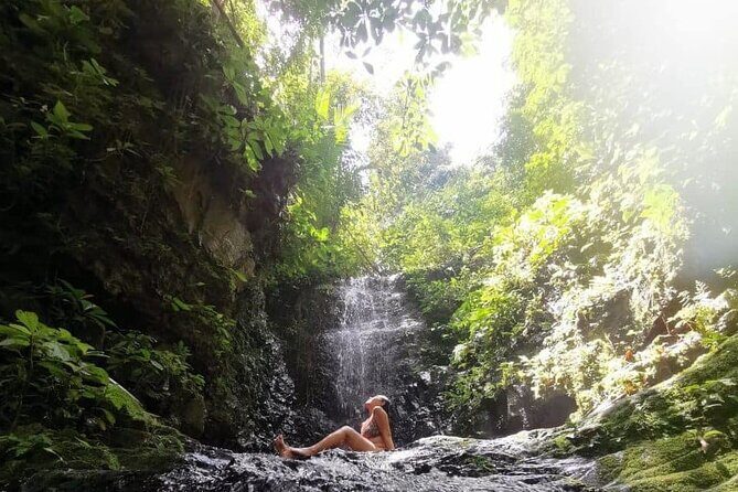 Taman Negara Rainforest Day Tour With Batu Caves Bonus Stop *25* - A Detailed Look at the Tour Experience