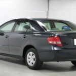 Taxi from Anuradhapura to Sigiriya / Dambulla (Private) - Pricing and Value