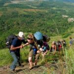 Tea plantation walk and stay in valley view Room (By Munnar Info) - Why This Tour Works Well