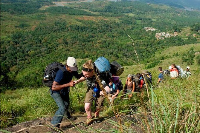 Tea plantation walk and stay in valley view Room (By Munnar Info) - Why This Tour Works Well
